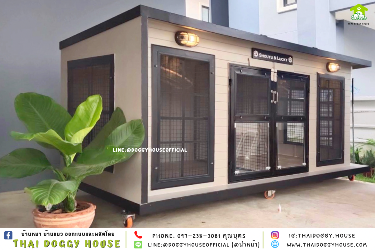 บ้านหมา แบบบ้าน 𝐁𝐎𝐗 𝐒𝐓𝐘𝐋𝐄