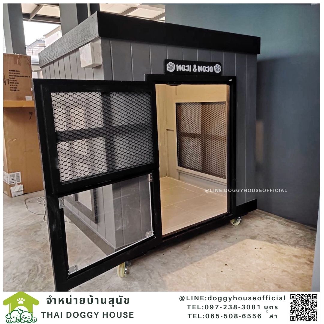 บ้านหมาทรงBOX