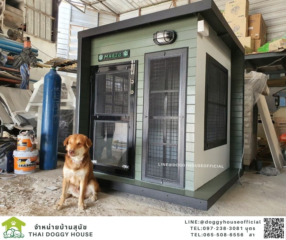 บ้านหมา