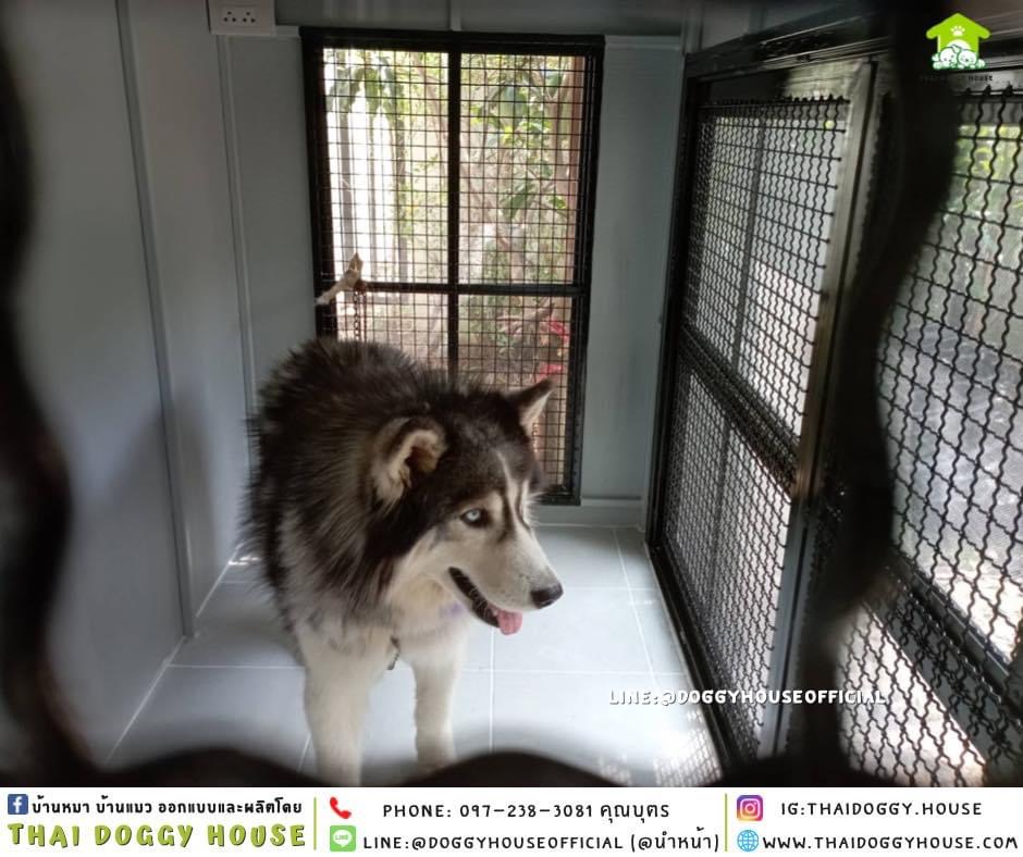 บ้านหมา แบบบ้าน Box style