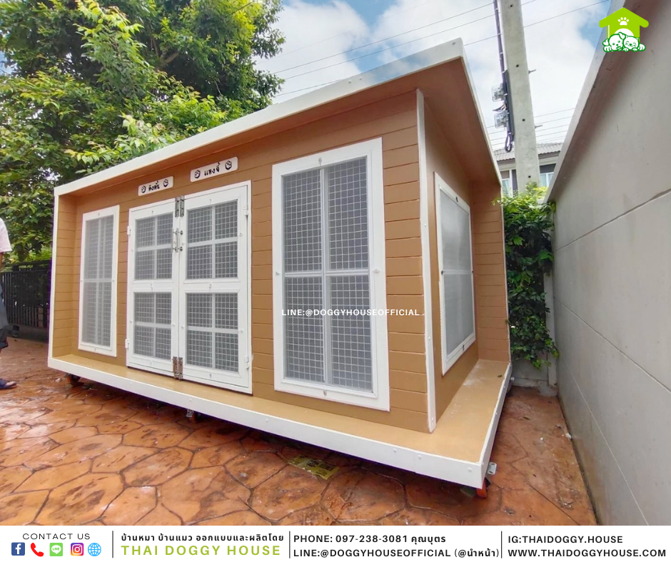 บ้านหมา หลังใหญ่ Box Style