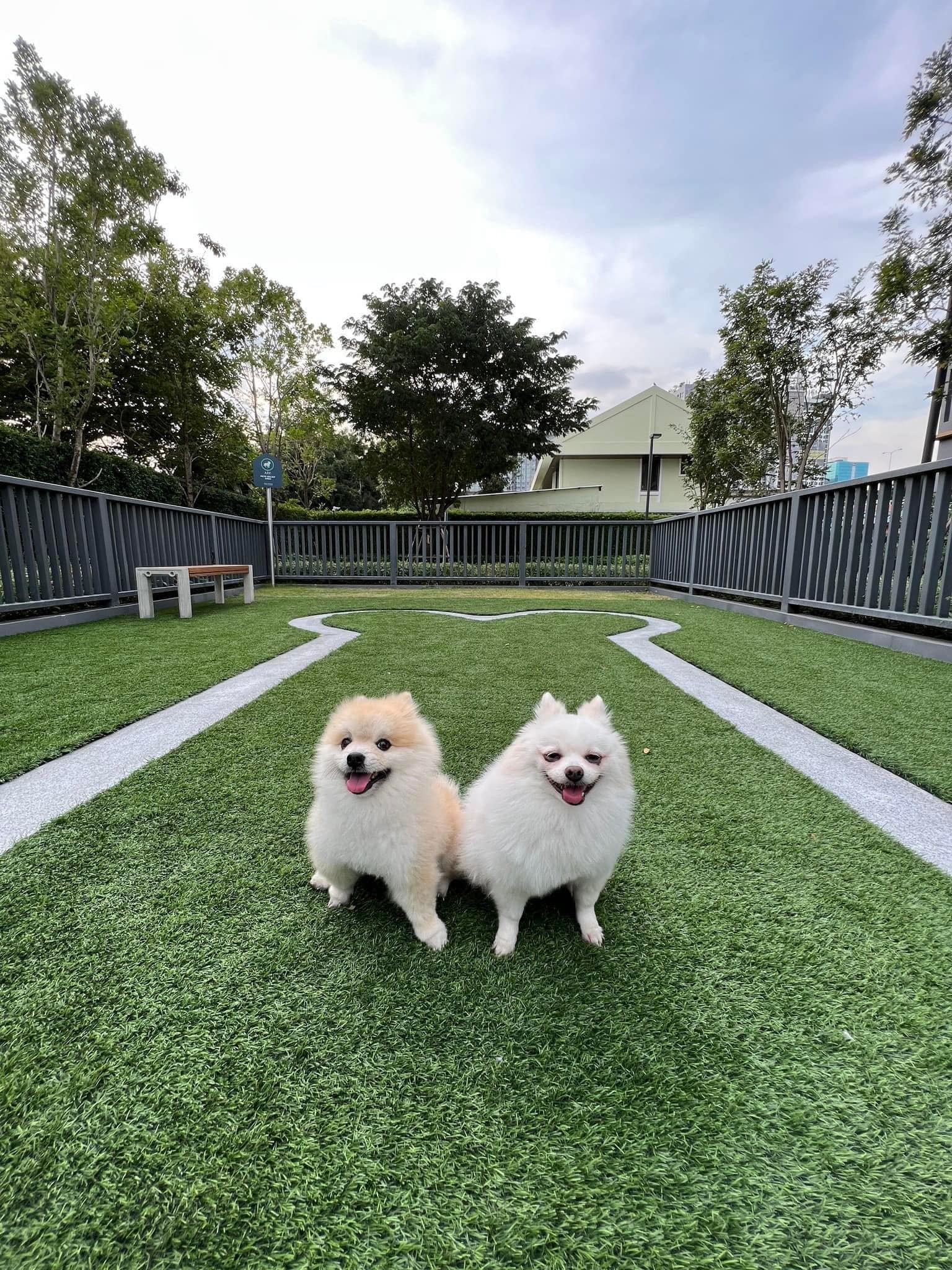 Metris Phatthanakan-Ekkamai