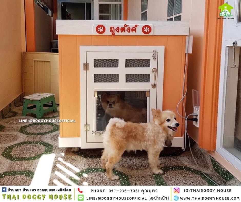 🏡บ้านหมา ติดพัดลม มุ้งลวด+ตะแกรงเหล็ก ทรง 𝐁𝐎𝐗 ✨