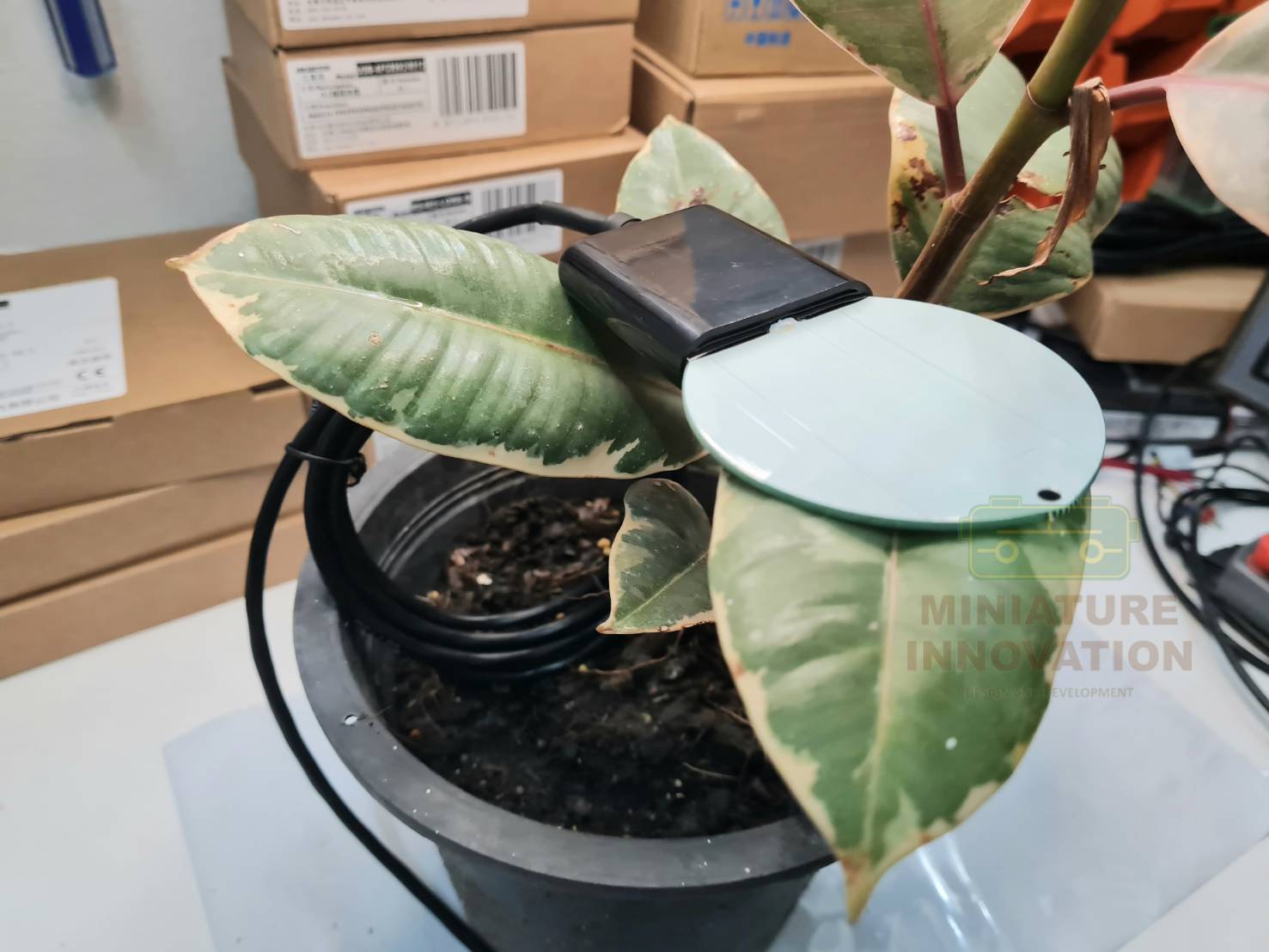 เซนเซอร์วัดอุณหภูมิและความชื้นทางใบ RS485 Leaf humidity and temperature sensor RS485