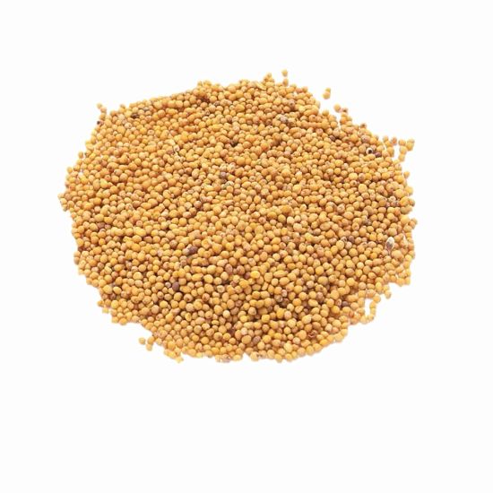 เมล็ดมัสตาร์ด ตรามือ Mustard Seeds No.1 Hand Brand ขนาด 500 กรัม (05-2186)