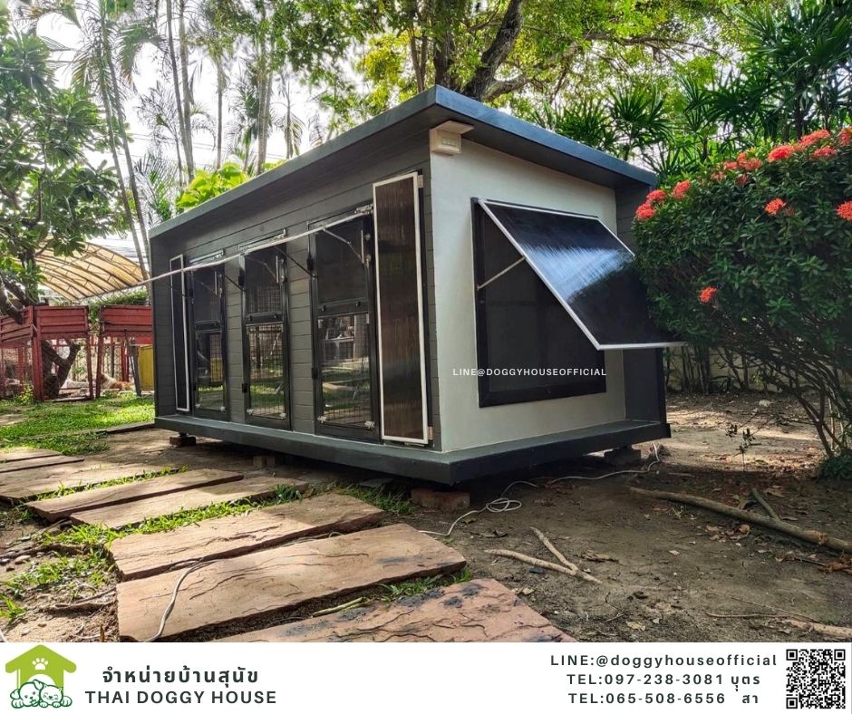 บ้านหมา