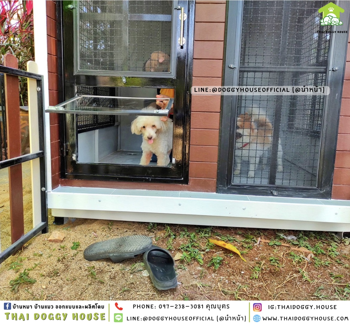 บ้านหมา ติดพัดลม มีมุ้งลวด + ตะแกรงเหล็ก แบบบ้าน 𝐁𝐨𝐱 𝐬𝐭𝐲𝐥𝐞