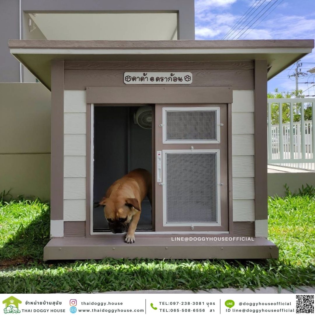 บ้านหมา