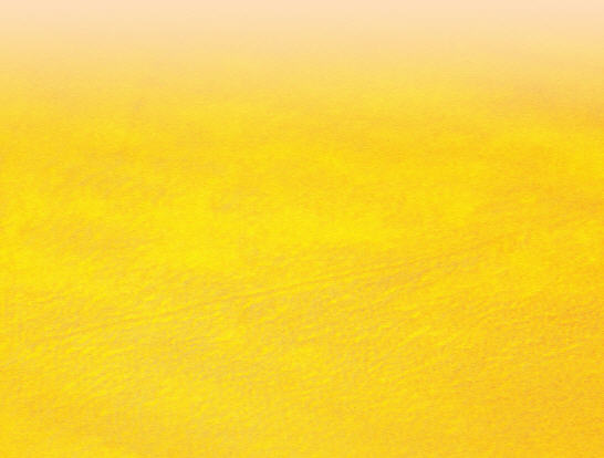 หมอนตัวยู+ผ้าปิดตา+หมอนรองคอ,หมอนตัวยู