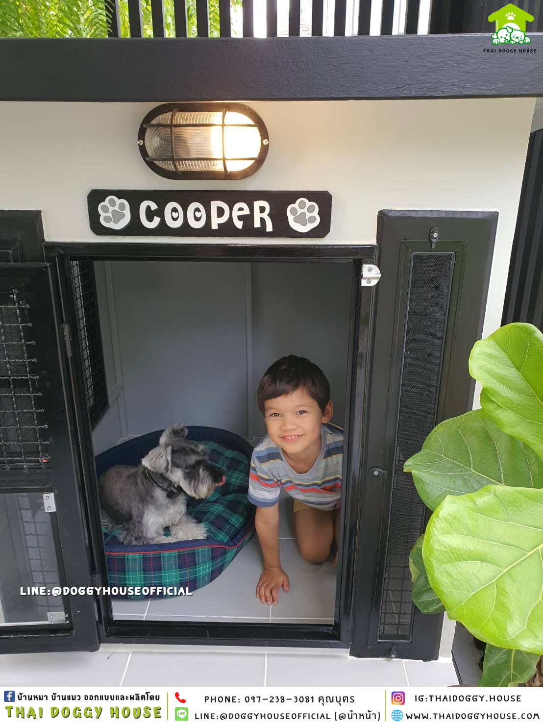 บ้านหมา แบบบ้าน 𝐁𝐎𝐗 𝐒𝐓𝐘𝐋𝐄