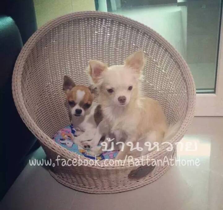 ที่นอนหวาย อุโมงค์หวายสำหรับสัตว์เลี้ยง