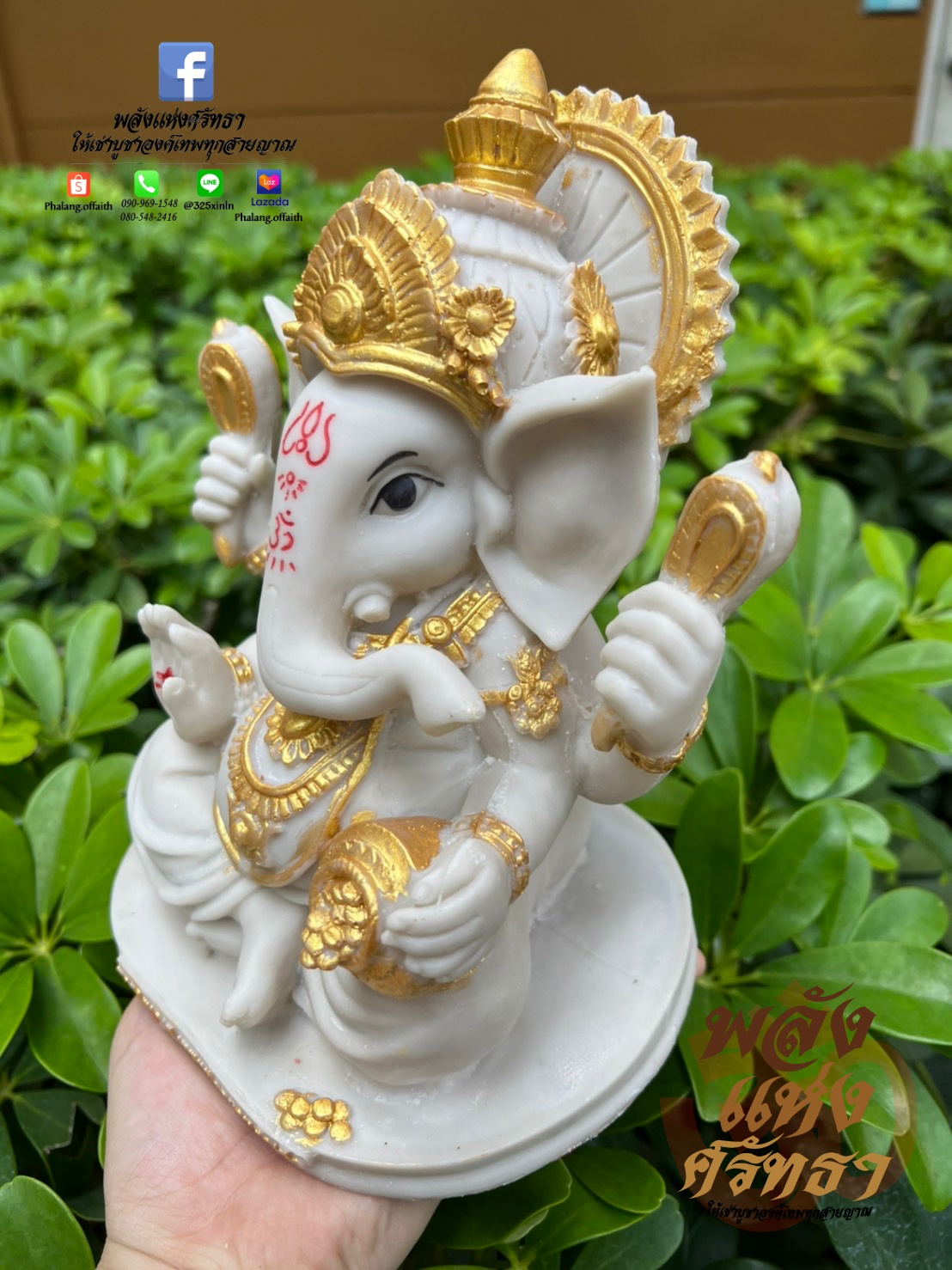 พระพิฆเนศ ปางรีนาโมจัน สีขาว พระพิฆเนศสีขาวทอง l ขนาดหน้าตัก 5 นิ้ว พร้อมส่ง