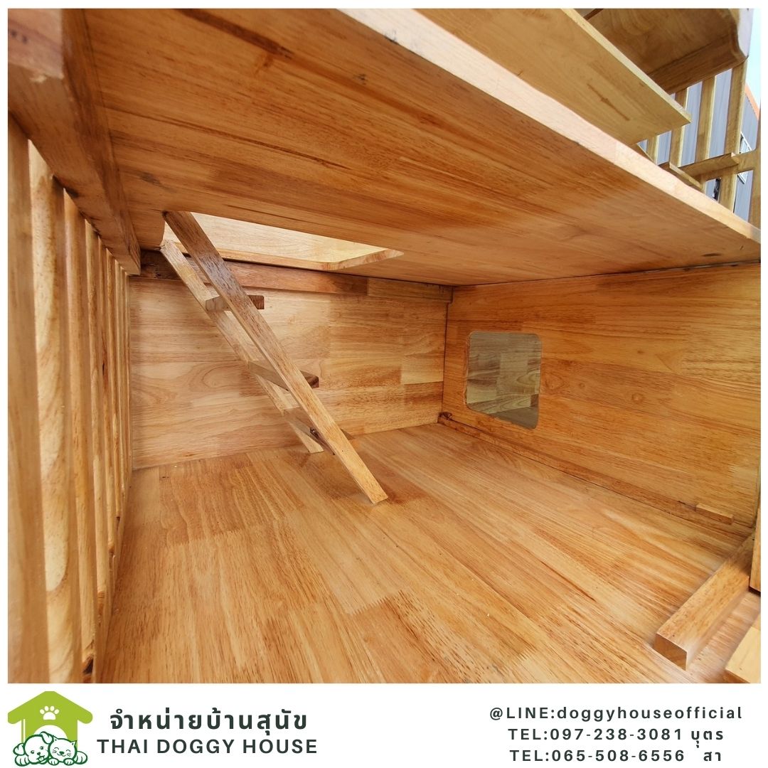 บ้านแมว สไตล์มินิมอล