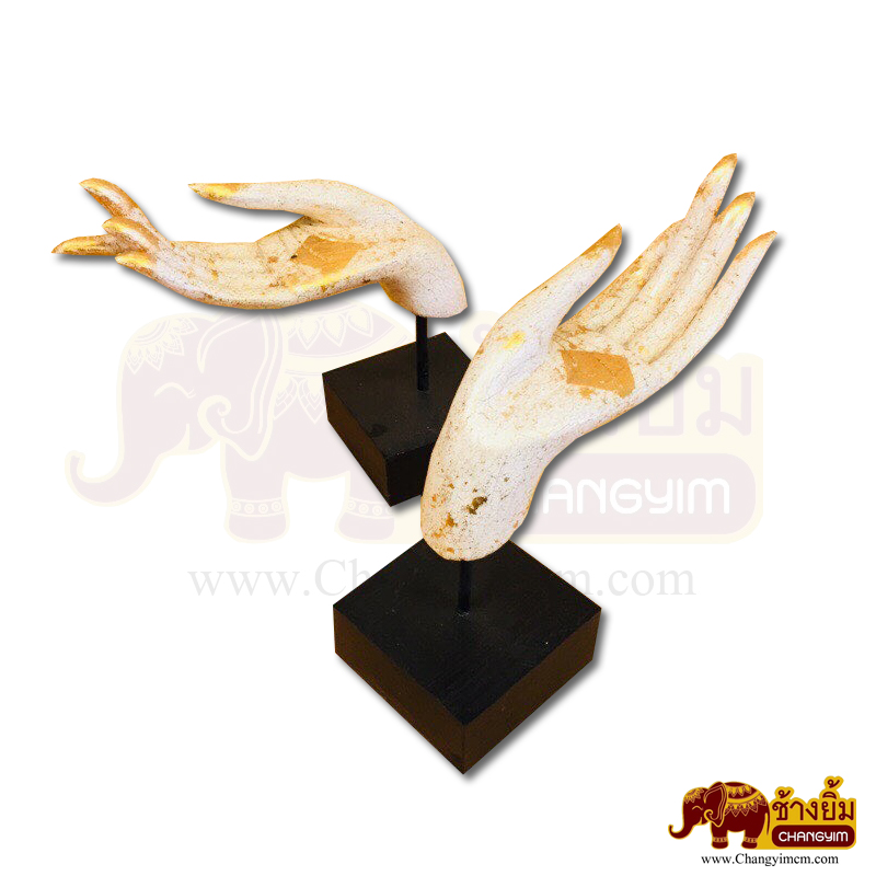 มือหงาย ( คู่ )