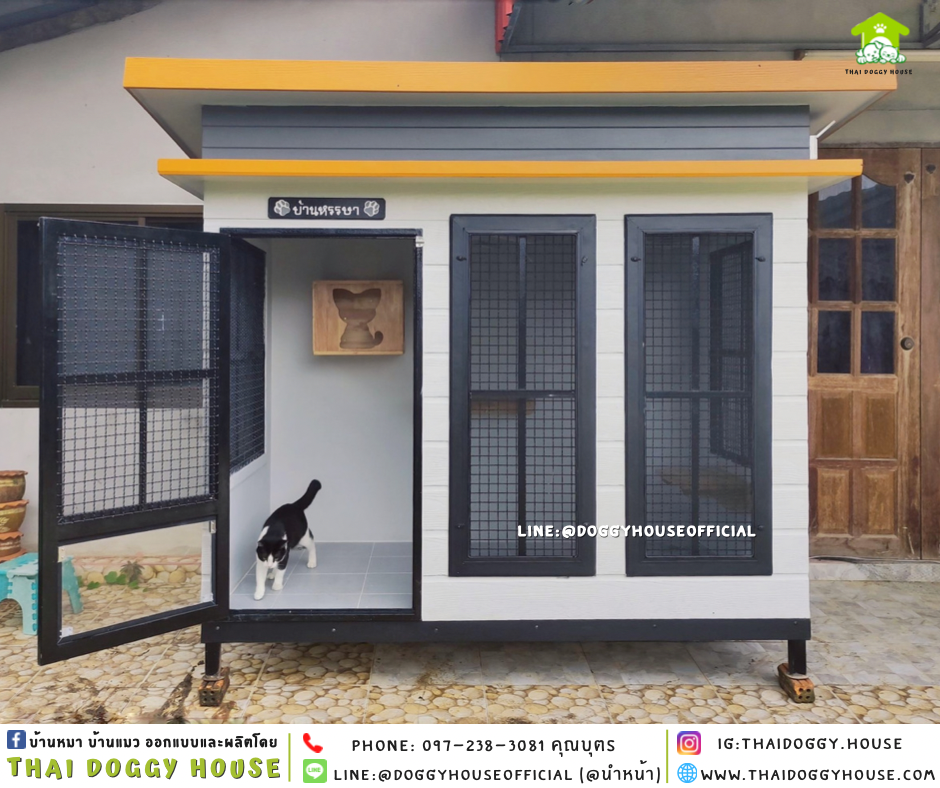 บ้านแมว แบบบ้าน 𝐕𝐢𝐧𝐭𝐚𝐠𝐞 𝐬𝐭𝐲𝐥𝐞
