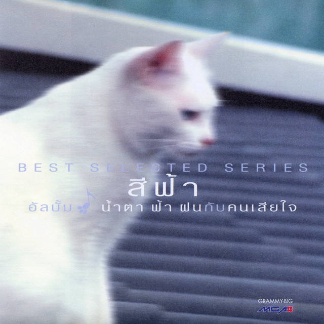 รวมศิลปิน – Best Selected Series : สีฟ้า น้ำตาฟ้าฝนกับคนเสียใจ / โค้ด DD / มีรอยบ้าง