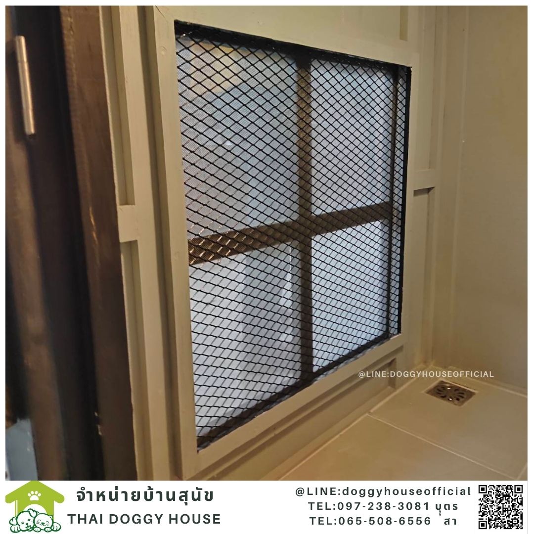 บ้านหมาทรงBOX