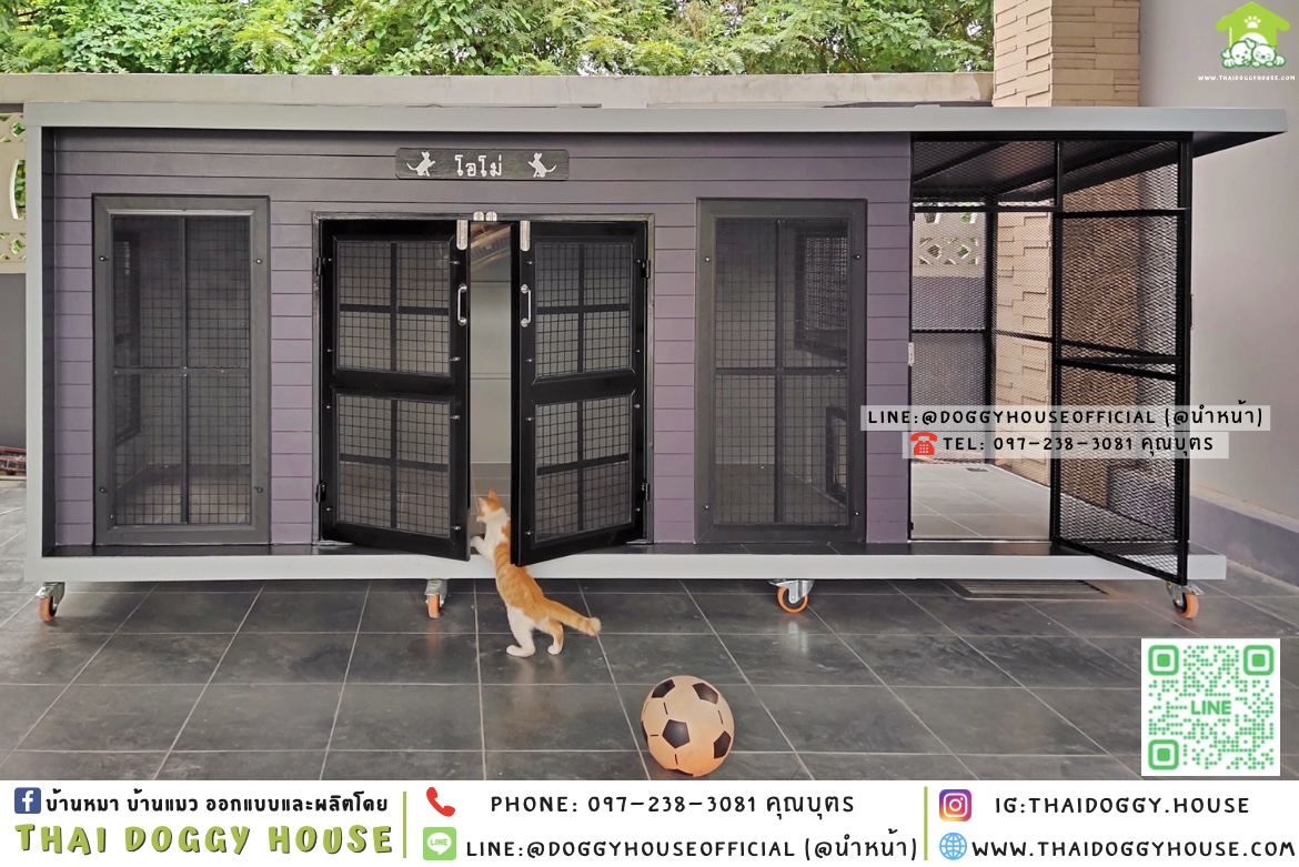🏡บ้านแมว มุ้งลวด โซน 𝐨𝐮𝐭𝐝𝐨𝐨𝐫 แบบบ้าน 𝐁𝐨𝐱 𝐒𝐭𝐲𝐥𝐞 ✨