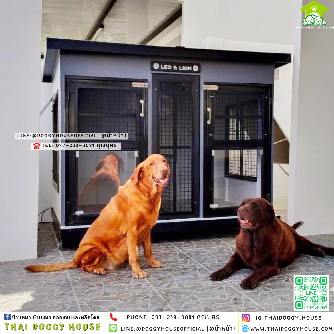 🏡บ้านหมา แบ่ง 𝟐 ห้อง แบบบ้าน 𝐁𝐨𝐱 𝐒𝐭𝐲𝐥𝐞 🦮