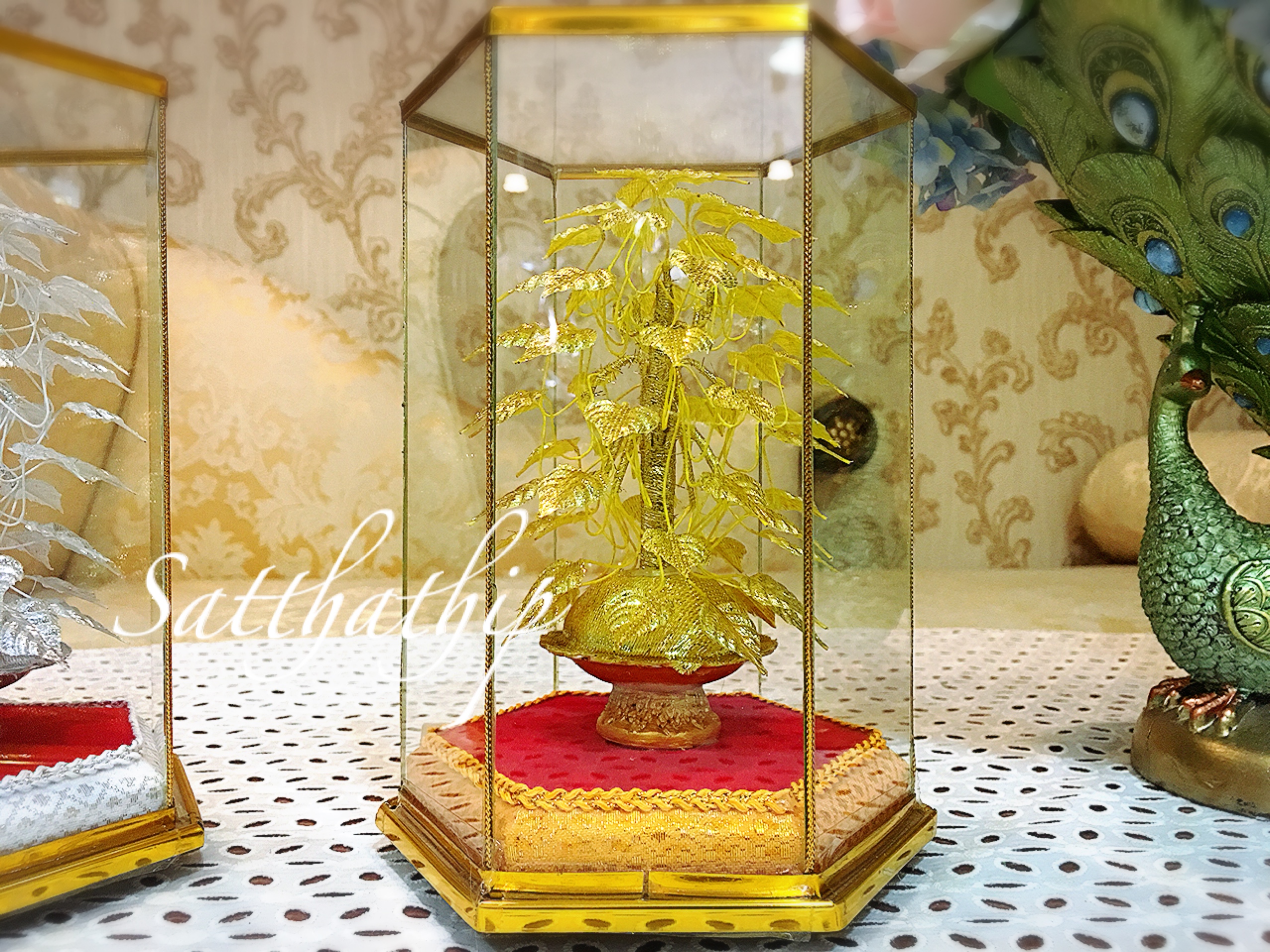 ต้นโพธิ์เงิน โพธิ์ทอง