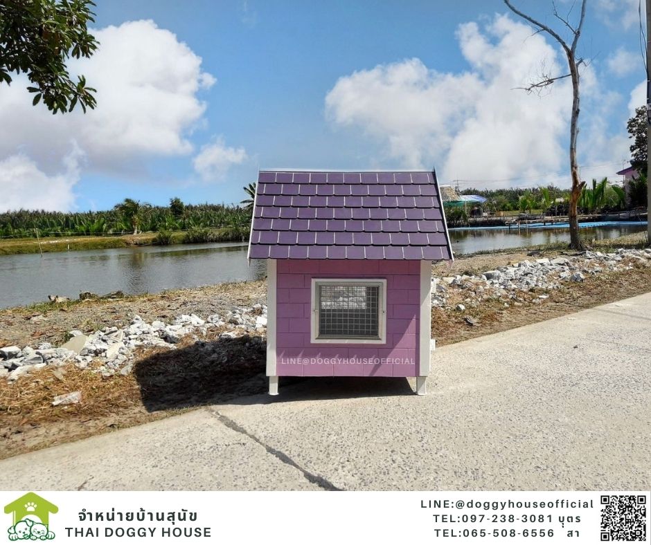 บ้านหมา รุ่นจิ๋ว