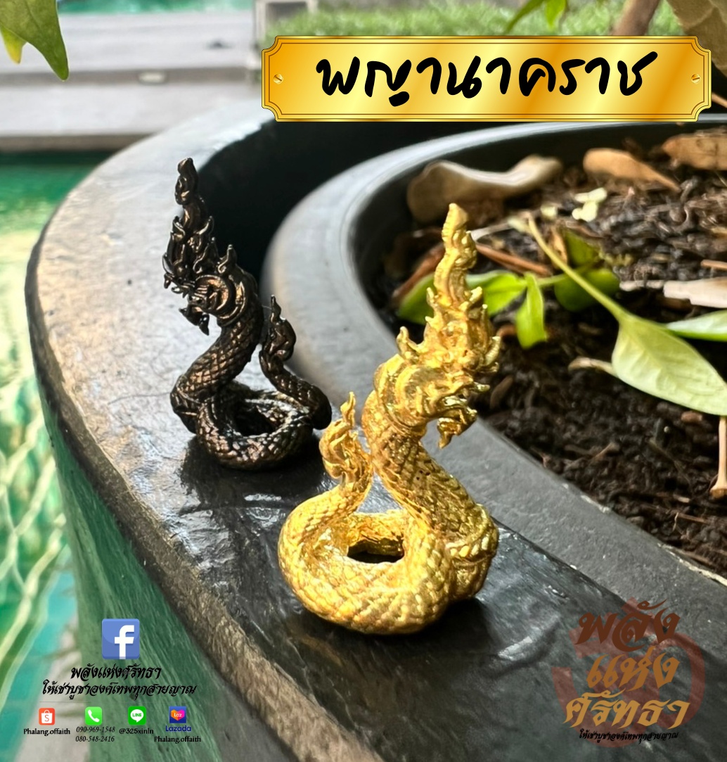 พญานาคราช พญานาค องค์เล็กจิ๋ว ขนาด 1 นิ้ว พกพาได้ เนื้อทองเหลือง รายละเอียดครบ