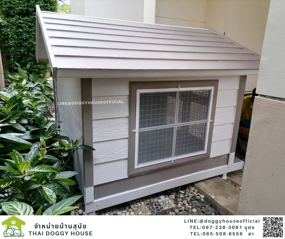 บ้านหมา