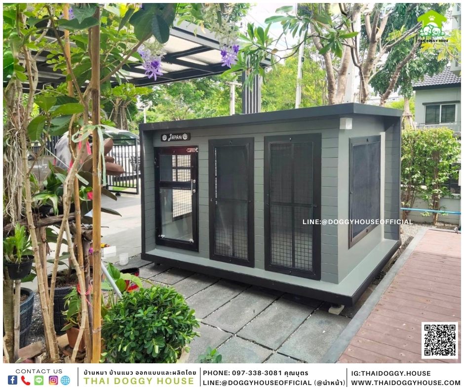 บ้านหมา Box style