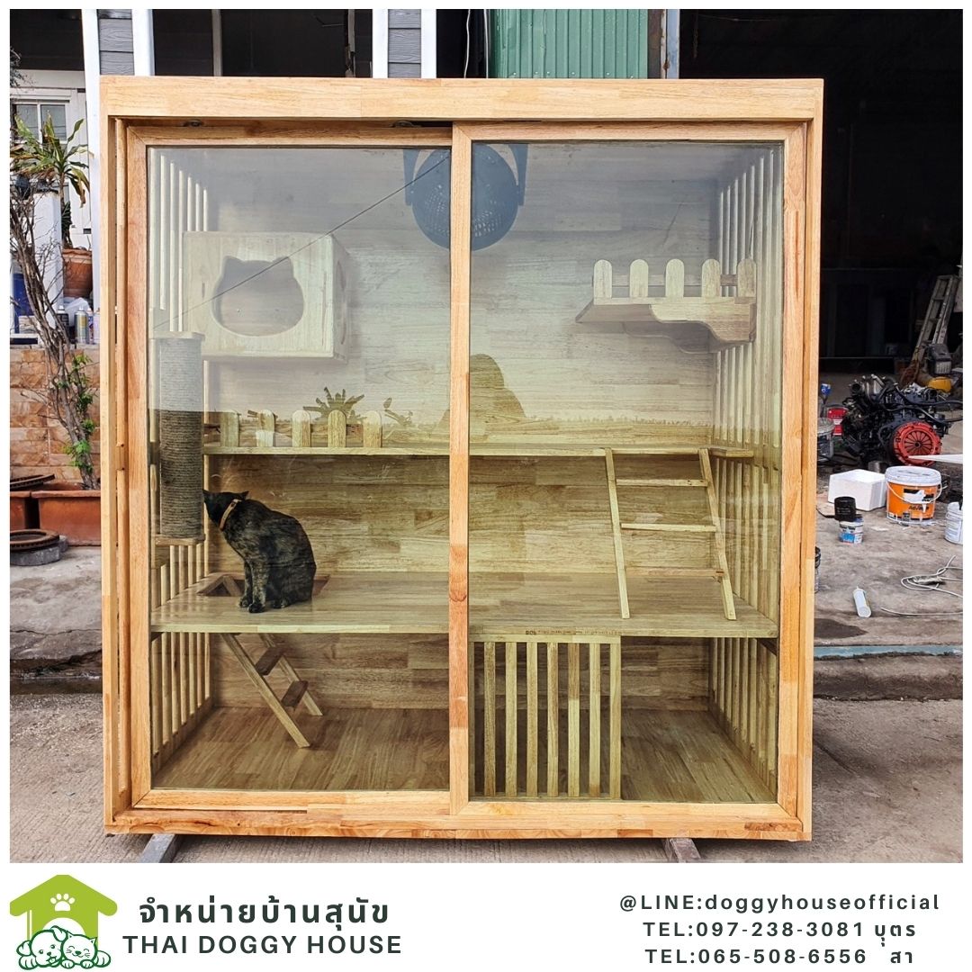 บ้านแมว สไตล์มินิมอล