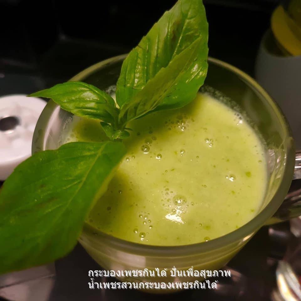 พันธุ์กระบองเพชรกินได้สายพันธุ์โอ.วุลการิส O. Vulgaris ขนาดมาตรฐาน 3 ขนาด ตัดสดทาเร่งราก