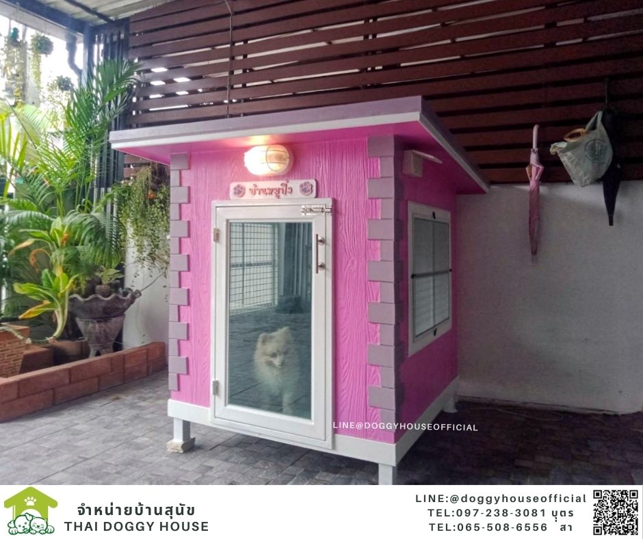 บ้านหมา