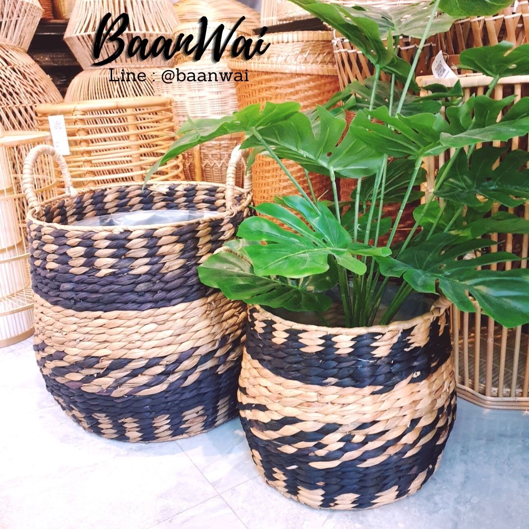 ตะกร้าต้นไม้ ตะกร้าผักตบชวา กระถางต้นไม้ลายคาดดำ กระถางต้นไม้