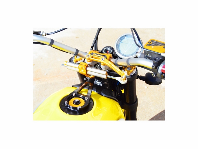 ขาจับกันสะบัด ducabike สำหรับ Scrambler 800 ใช้กับ Ohlins