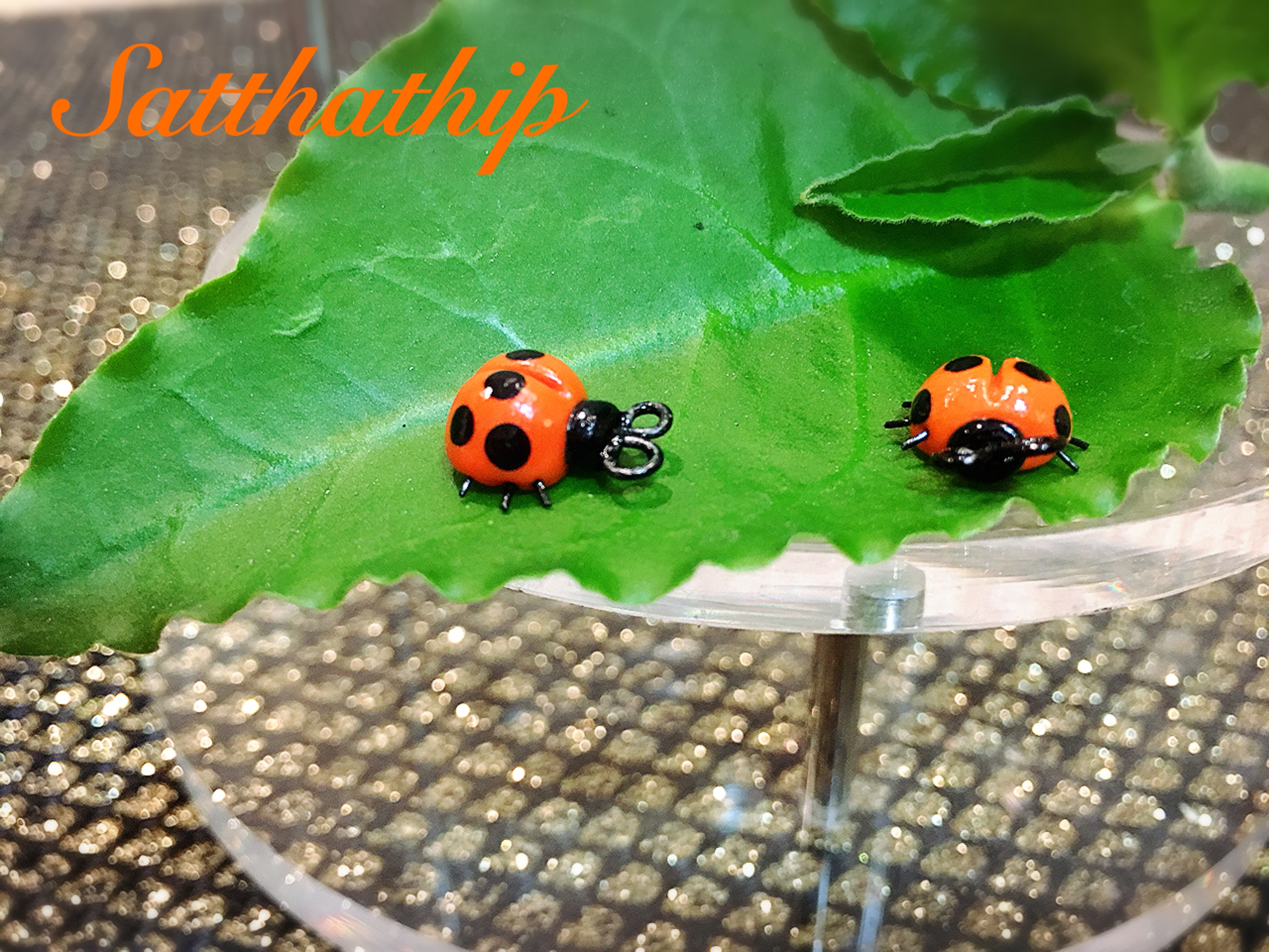 เต่าทอง - โมเดลเต่าทอง - เต่าทองดินปั้น - โมเดลสัตว์ - โมเดลสัตว์เลี้ยง - ตุ๊กตาสัตว์ดินปั้น - Animal model