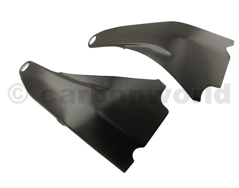 Carbonworld ครอบเฟรม (frame cover) สำหรับ PanigaleV4