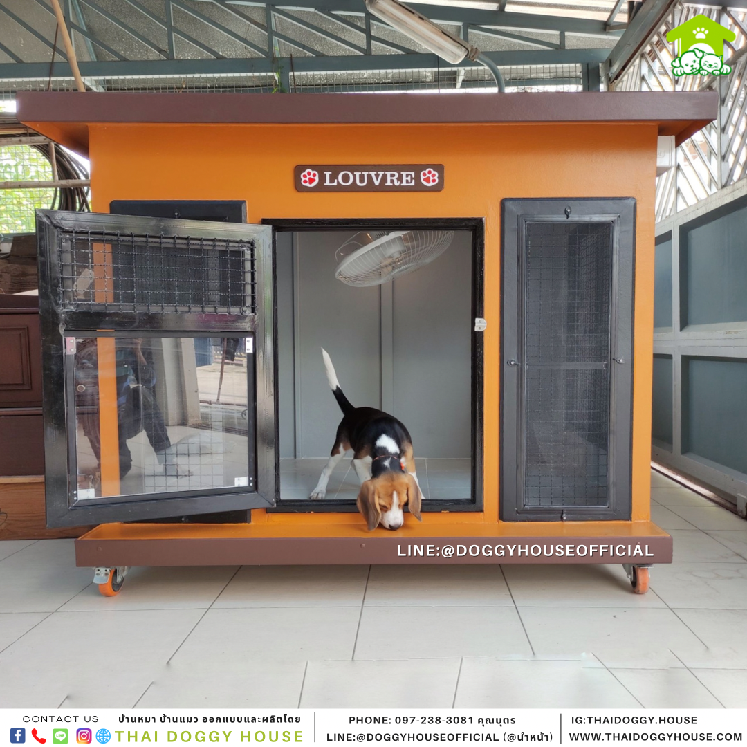 บ้านหมา รุ่นนิยม แบบบ้าน Box style