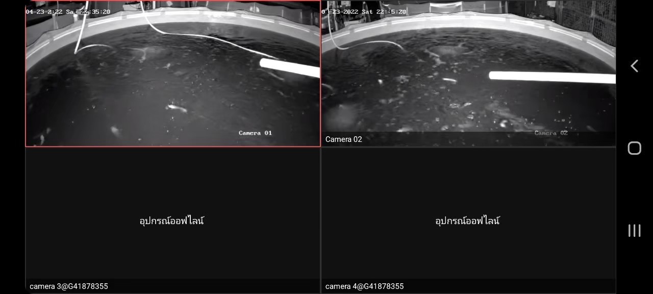ติดตั้งระบบควบคุมปลาดุก x มหาวิทยาลัยเทคโนโลยีราชมงคลสุวรรณภูมิ