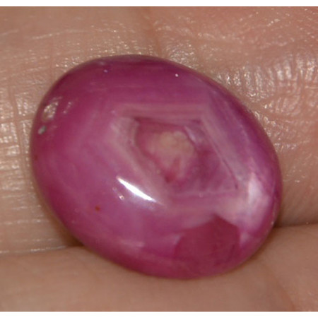 พลอยทับทิมสตาร์ปุยๆ (Ruby Stars) 10 กะรัต 6 ขา