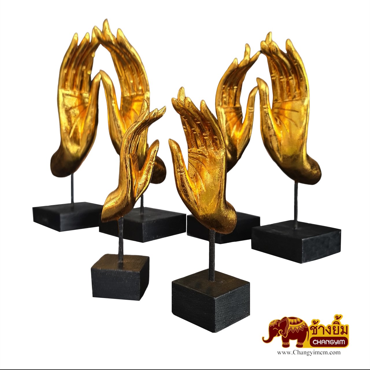 มือตั้ง ( คู่ )