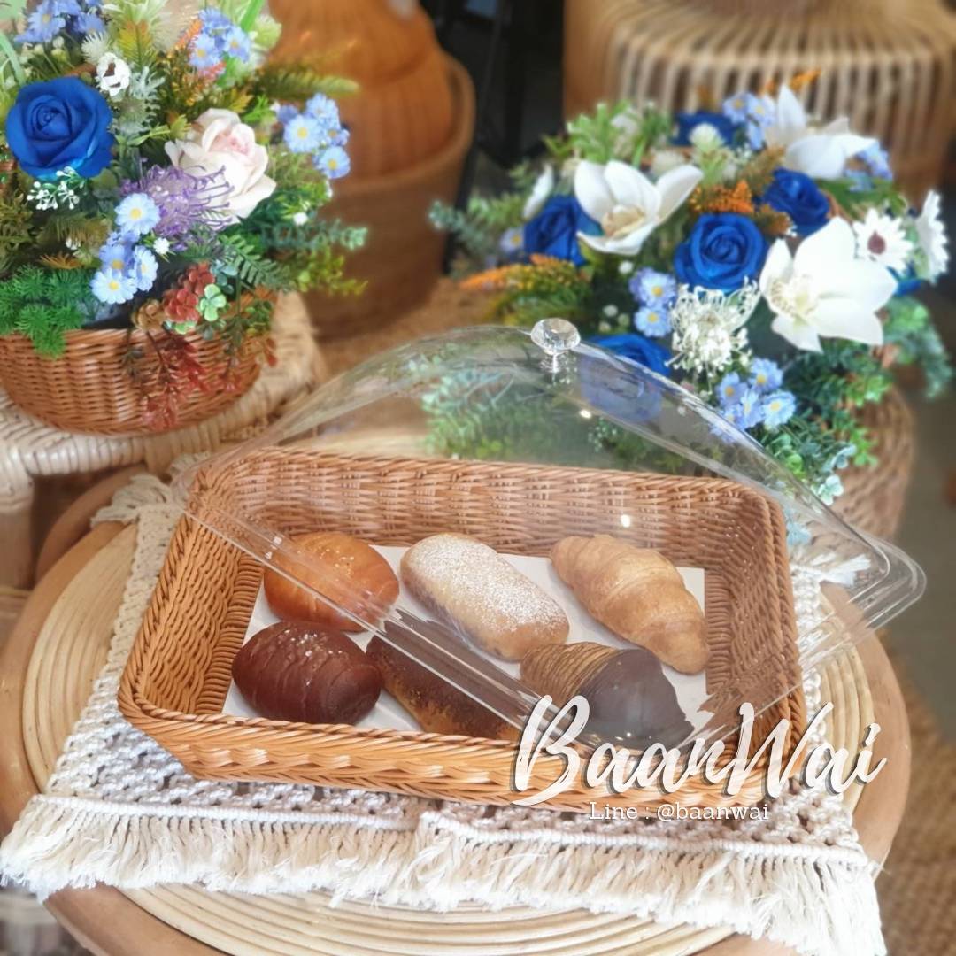 ถาดหวายเทียม ฝาครอบใส