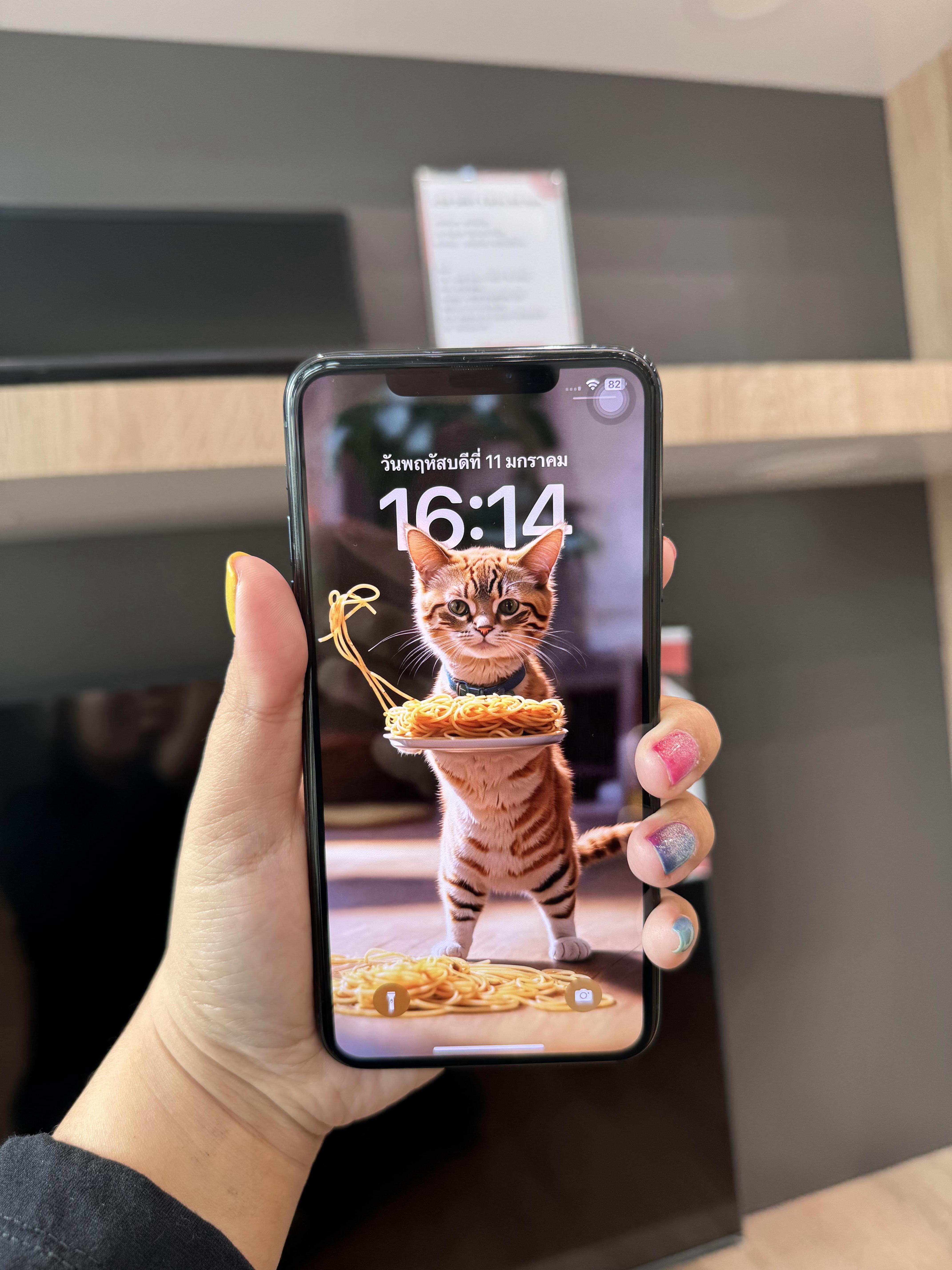 iPhone 11 Pro Max 64GB สี Midnight Green