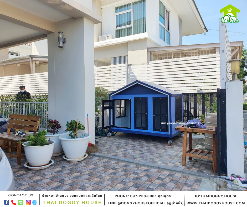 บ้านหมา แบบบ้าน Nordic style