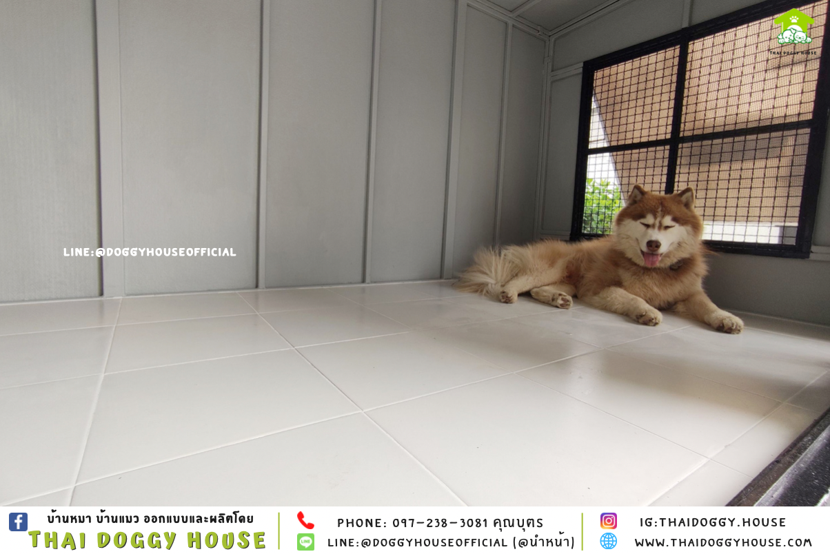 บ้านหมา แบบบ้าน 𝑩𝑶𝑿 𝑺𝑻𝒀𝑳𝑬