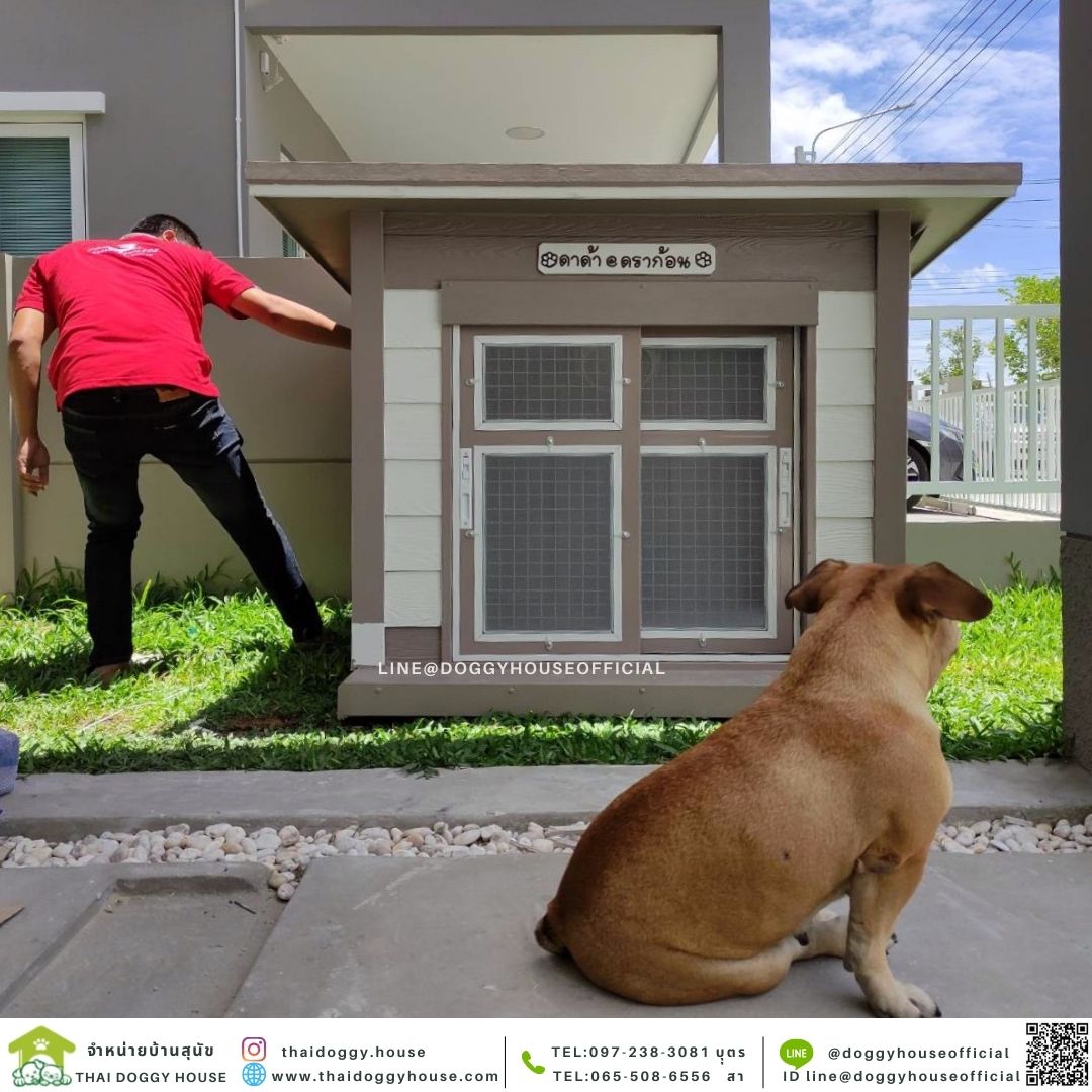 บ้านหมา