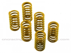 สปริงคลัชท์ (clutch spring)- CNC Racing สำหรับ 1098 1198