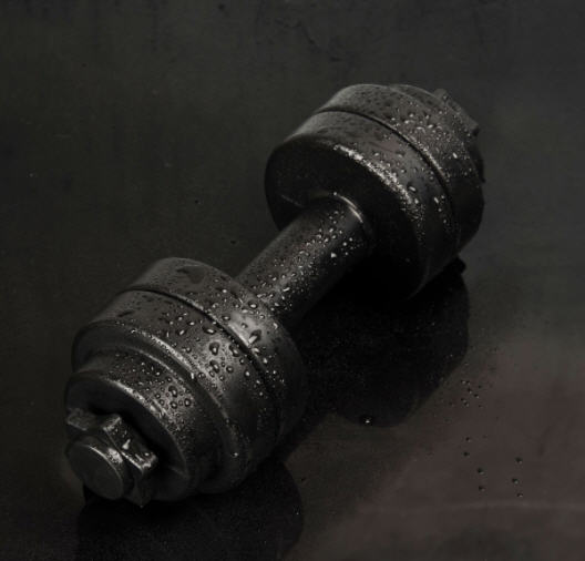 กระบอกน้ำดัมเบล,ขวดน้ำดัมเบล,แก้วน้ำพลาสติก,แก้วน้ำดัมเบล,830ML