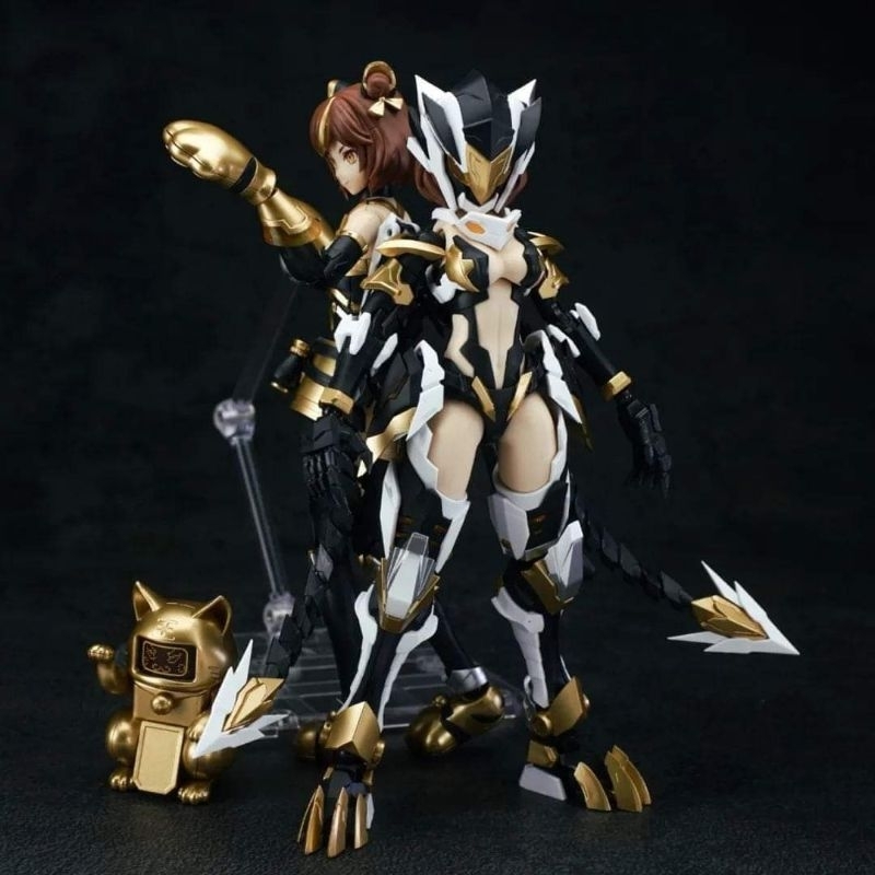 MS General : 1/10 RS-03 Yinhu (ปีเสือ)