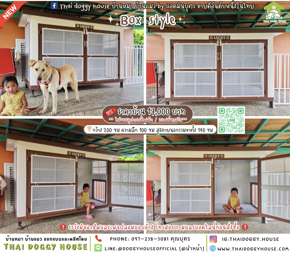 🏡บ้านหมา มุ้งลวด แบบบ้าน⋆·˚ ༘ 𝐁𝐨𝐱 𝐒𝐭𝐲𝐥𝐞 ✿