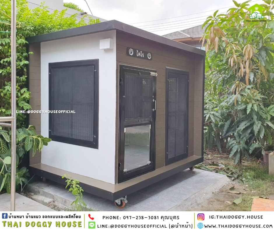 บ้านหมา แบบบ้าน Box style