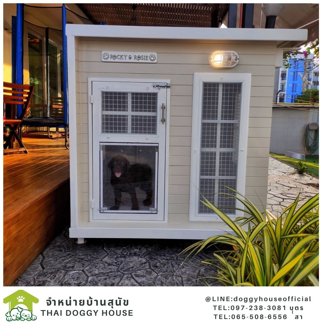 บ้านหมา รุ่นนิยม